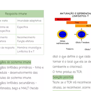Imagem de capa para o Ebook Resumo de Imunologia parte 1