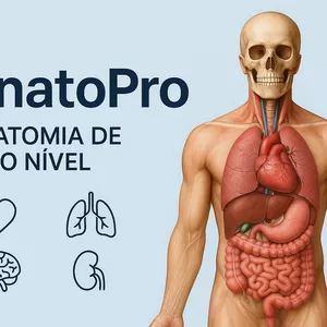 Imagem de capa para o Curso online AnatoPro: Anatomia de Alto Nível