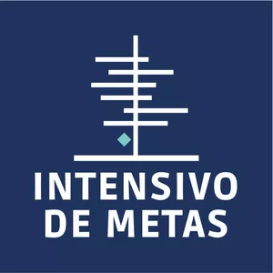 Imagem de capa para o Curso online VII Intensivo de Metas
