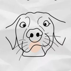 Cover image for Ebook Dog Training - Tricks