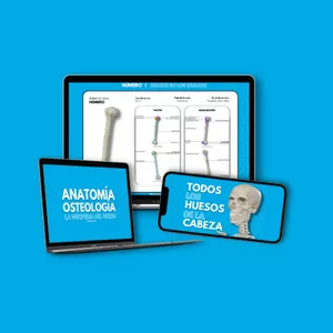 Imagen de portada para Ebook La Wikipedia del Hueso