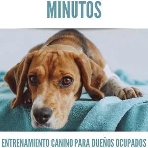 Imagen de portada para Ebook El Método en 15 Minutos: Entrenamiento Canino para Dueños Ocupados