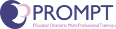 The PROMPT Maternity Foundation
