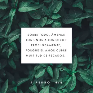 Imagen de portada para Curso online Versículos bíblicos 