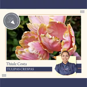 Imagem de capa para o Curso online TULIPAS CRESPAS