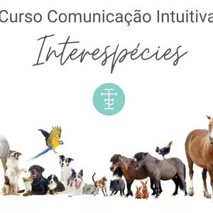 Imagem de capa para o Curso online Curso Comunicação Intuitiva Interespécies