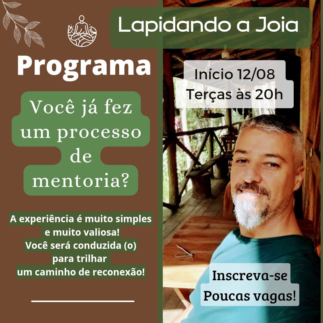 Imagem do curso Programa Lapidando a Joia