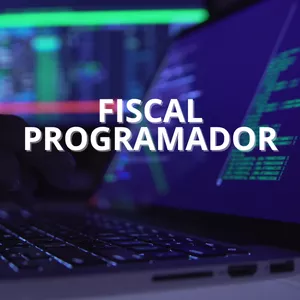 Imagem de capa para o Curso online Fiscal Programador Start (O Inicio)