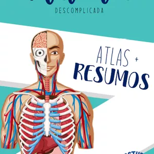 Imagem de capa para o Ebook Apostila - Anatomia 