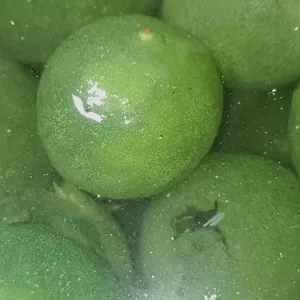 Imagen de portada para Curso online Limon-ada