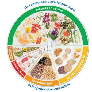 Imagen de portada para Curso online Plato del buen comer