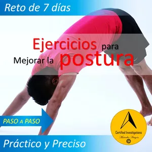 Imagen de portada para Ebook Postura