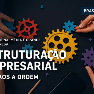 Imagem de capa para o Ebook ESTRUTURAÇÃO EMPRESARIAL - DO CAOS A ORDEM