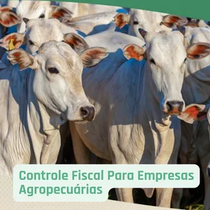 Imagem de capa para o Curso online Controle Fiscal Para Empresas Agropecuárias