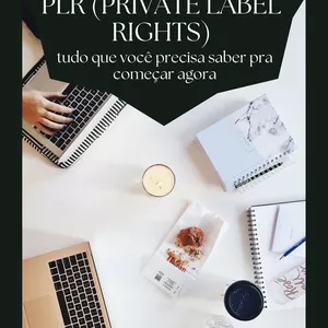 Imagem de capa para o Ebook CONHECENDO PLR (PRIVATE LABEL RIGHTS)