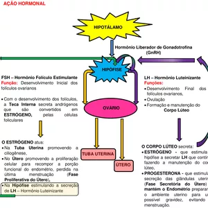 Imagem de capa para o Ebook Apostilas de Estrutura e  Função - 2° Unidade