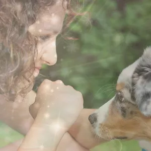 Imagen de portada para Curso online Módulo 9 Comunicación Cuántica entre especies