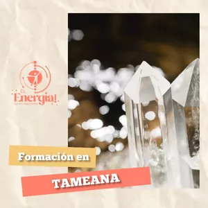 Imagen de portada para Curso online FORMACION EN TAMEANA 
