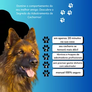 Imagem de capa para o Curso online Curso Adestramento de Cachorro