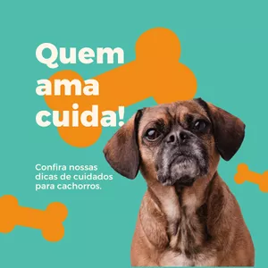 Imagem de capa para o Ebook Noções básicas de cães para iniciantes