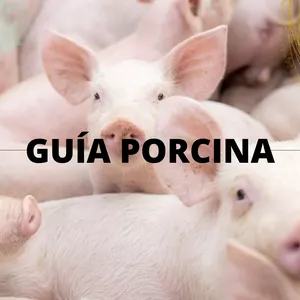 Imagen de portada para Ebook GUÍA PARA LA PRODUCCIÓN PROCINA