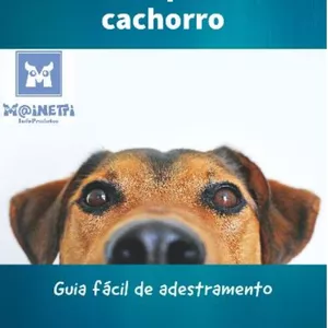 Imagem de capa para o Ebook Treinamento bom para Cachorro