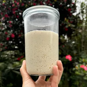 Imagem do curso Fermento do Zero com a Gel