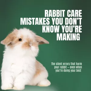 Cover image for Ebook Rabbit care mistakes you don’t know you’re making