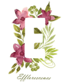 Efflorescence Yoga logo
