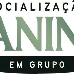Imagem de capa para o Curso online Socialização em Grupo