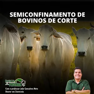 Curso Semiconfinamento de bovinos de corte
