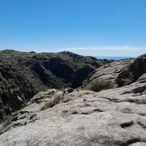 Imagen de portada para Curso online Cursos yaaa