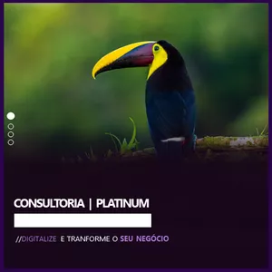 Imagem de capa para o Serviço online Consultoria Empresarial - Platinum