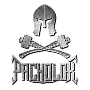 Imagem de capa para o Curso online Pacholok Team 