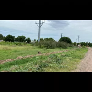 Imagen de portada para Curso online La belleza de la naturaleza