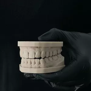 Imagem de capa para o Ebook Passo a Passo da Introdução ao estudo das moldagens