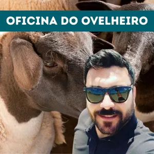 Imagem de capa para o Curso online Oficina do Ovelheiro