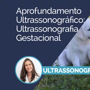 Imagem principal do produto  Aprofundamento Ultrassonográfico: Ultrassonografia Gestacional