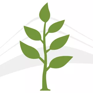 Imagen de portada para Curso online RUTA AL PROYECTO ARQUITECTONICO SOSTENIBLE