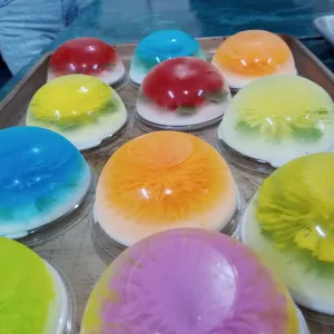 Imagen de portada para Curso online Curso Gelatina Floral Básica 