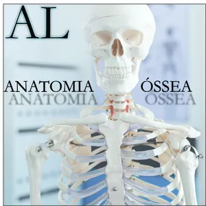 Imagem de capa para o Curso online ANATOMIA ÓSSEA