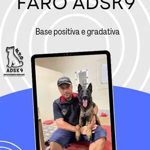 Imagem de capa para o Curso online Mecânica de faro