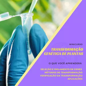 Imagem de capa para o Curso online TRANSFORMAÇÃO GENÉTICA DE PLANTAS