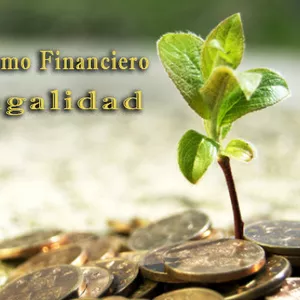 Imagen de portada para Ebook Minimalismo Financiero y Frugalidad