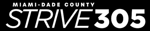 Virtual STRIVE305  logo