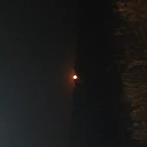 Imagem de capa para o Curso online Foto da Lua 🌙