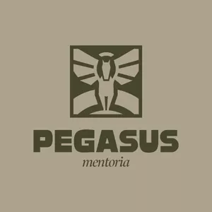 Imagem do curso Pegasus