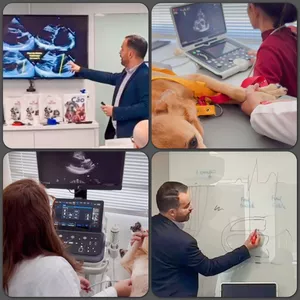 Imagem de capa para o Evento presencial Curso de Ecocardiografia Veterinária (módulo Básico) com o Prof. Marlos