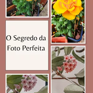  Pack Preset - O Segredo da Foto Perfeita
