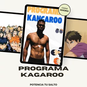 Imagen de portada para Ebook programa kangaroo 